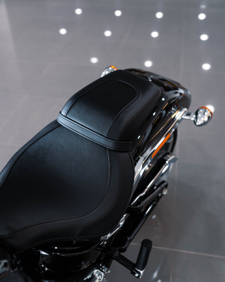 BIKE BLOG GALLERY FAT BOY (5)