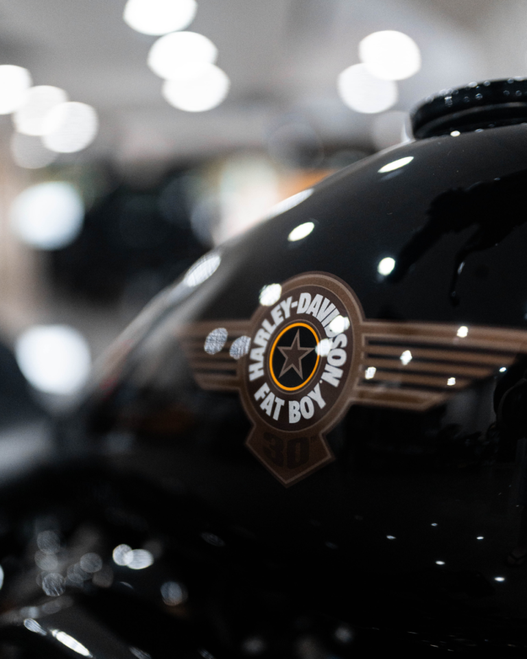 BIKE BLOG GALLERY FAT BOY ANN (7)