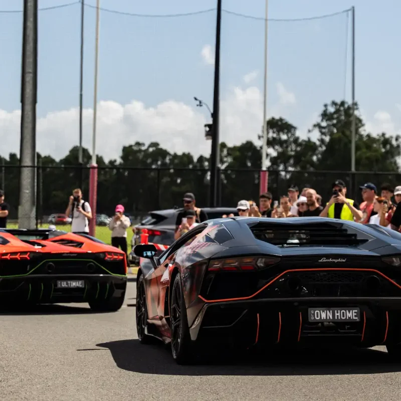 C&C.GC.23.02_-253_q50